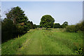 Riverside path at Airmyn