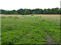 Bridleway towards Woodlands Drive