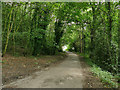 Footpath to Wood Bottom