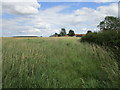 TF0427 : Grass field at Hawthorpe by Jonathan Thacker