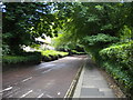 Southern part of Margery Lane, Durham