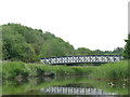 SJ6574 : Footbridge over the Witton Brook by Stephen Craven
