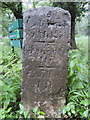 SO6212 : Milestone by the Speech House Woodlands car park, Forest of Dean by John S Turner
