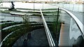 View of the flowerbeds on the lower tier reflected in the glass wall of The Tide