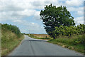 Sydling Road towards Cerne Abbas