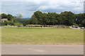 Llwyncelyn Cemetery, Hollybush, Cwmbran