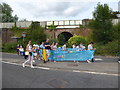 Romsey Carnival Procession (11)