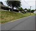 Grassy bank above the north side of Carno Street, Rhymney