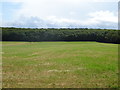 Grassland, Marsh Hill