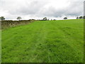 Field edge footpath near to Noggarth