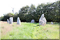 SX2358 : Duloe stone circle, B3254, Duloe by Jo and Steve Turner