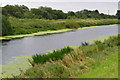 River Witham downstream from Kirkstead Bridge