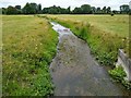 SU1329 : Distribution channel, Harnham water meadows, Salisbury by Brian Robert Marshall