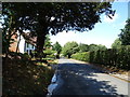 Minor road towards Hadham Ford