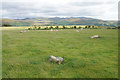 Elva Plain Stone Circle