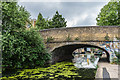 TQ3383 : Queen's Road Bridge by Ian Capper