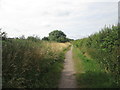 Bridleway along the River Maun