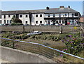 Inn on a riverbank, Barnstaple