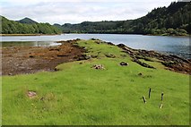 NR7689 : Grass point in Caol Scotnish by Alan Reid
