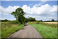 Byway and access road for Neasless Farm