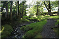 Footpath by Kilnhow Beck