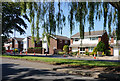 Houses on Jackson Close from Mill Lane