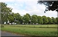 Field by Alswick Hall, Buntingford