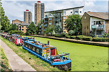 TQ3683 : Hertford Union Canal by Ian Capper