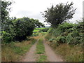 Trac ger Ffarm Clochyrie / Track near Clochyrie Farm