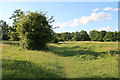 Footpath near the Test