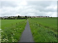 Path across fields