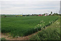 Field on the edge of Stowmarket