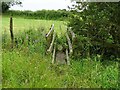 Footbridge over a field drain