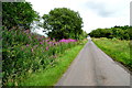 Crossan Road, Galbally