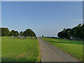 Northern end of Stanley Cemetery