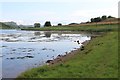 High tide at Herons Cottage