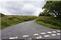 Road leading to Cerrigellgwn Uchaf