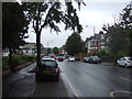 Colney Hatch Lane (B550), Muswell Hill