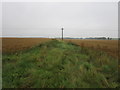 Rough track near Beacon Hill Farm