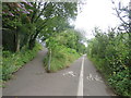 TQ1657 : Path junction, Leatherhead by Malc McDonald