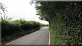 Hedge-lined Bettws Hill, Newport