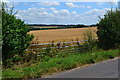 Field gate beside Fullerton Road