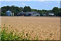 View across field to Saxley Farm