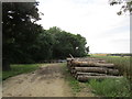 Timber stacks by Spring Wood