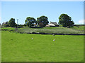 Farmland below Stone Carrs