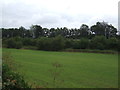 Farmland, Stapleford