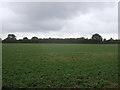 Farmland off Church Lane, Watton at Stone