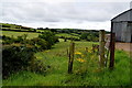 Lisconrea Townland