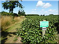 Keeping to the public footpath, Graveney