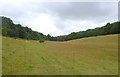 Valley west of Parsonage Farmhouse, Stalisfield